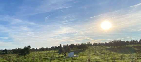 4 bedrooms Land in Tavira, Portugal No. 111006 16