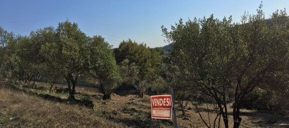 1213m² Land in Narni, Italy No. 252723 3