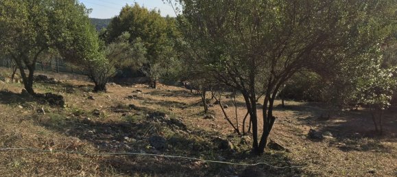 1213m² Land in Narni, Italy No. 252723 4