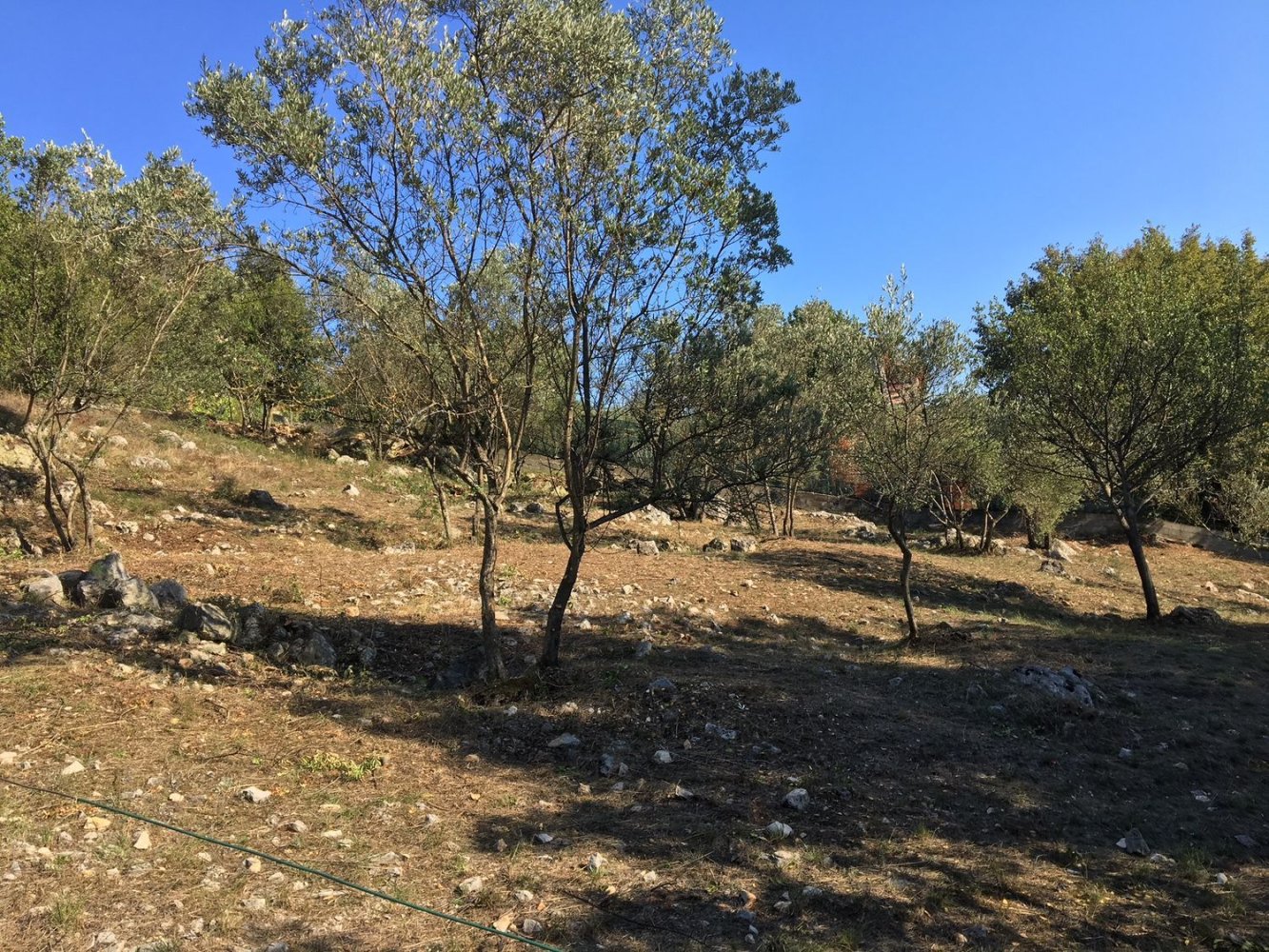 1213m² Land in Narni, Italy No. 252723