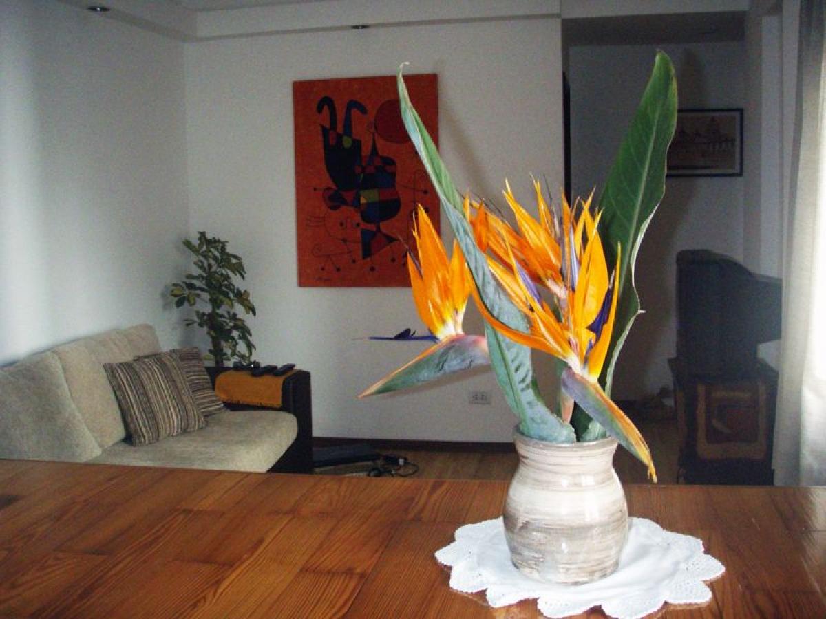 Studio in Mar del Plata, Argentina No. 78378