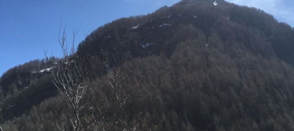 5 Schlafzimmer Haus in Campodolcino, Italy, Nr. 359582 4