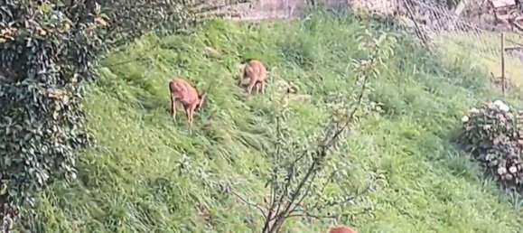 4 rooms Duplex in Wattens, Austria No. 230018 14