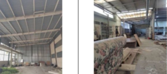 43925m² Warehouse in Pineto, Italy No. 377002 9