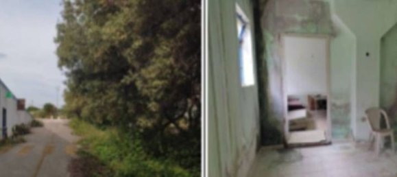 43925m² Warehouse in Pineto, Italy No. 377002 8