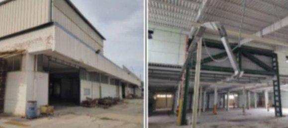 43925m² Warehouse in Pineto, Italy No. 377002 7