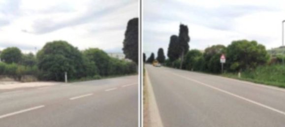 43925m² Warehouse in Pineto, Italy No. 377002 2