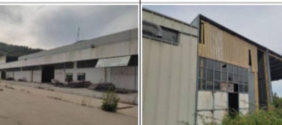 43925m² Warehouse in Pineto, Italy No. 377002 12