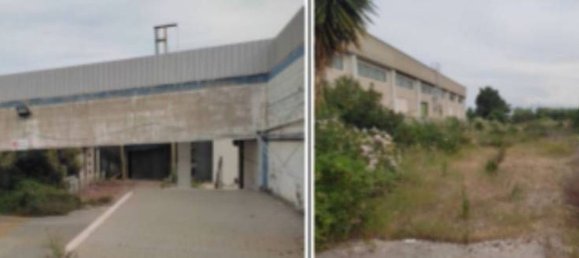 43925m² Warehouse in Pineto, Italy No. 377002 13