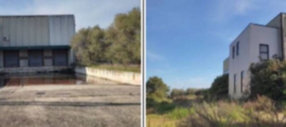 43925m² Warehouse in Pineto, Italy No. 377002 15