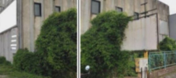 43925m² Warehouse in Pineto, Italy No. 377002 16