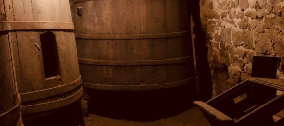 23 rooms House in Greve in Chianti, Italy No. 257108 33