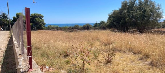 3000m² Land in Altavilla Milicia, Italy No. 263247 2