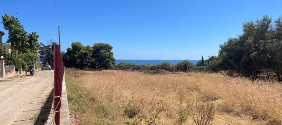 3000m² Land in Altavilla Milicia, Italy No. 263247 9
