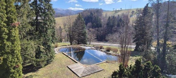 Дом с 5 комнатами в Бранд-Лабен, Австрия № 162246 8