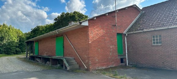 Коммерческая недвижимость с 3 комнатами в Аммерланд, Германия № 178949 15