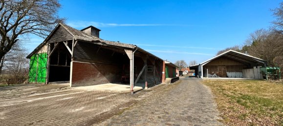 Коммерческая недвижимость с 3 комнатами в Аммерланд, Германия № 178949 17