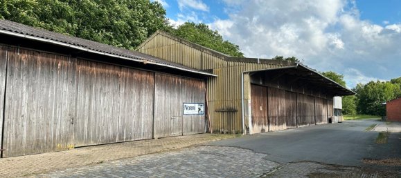 Коммерческая недвижимость с 3 комнатами в Аммерланд, Германия № 178949 8