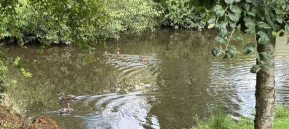 4 chambres Maison à Wesermarsch, Germany No. 224822 44