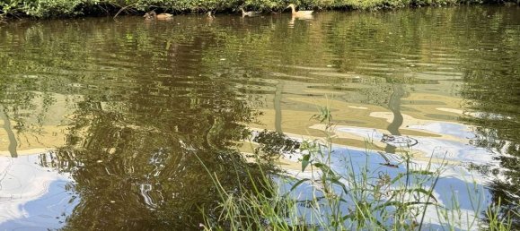 4 chambres Maison à Wesermarsch, Germany No. 224822 47