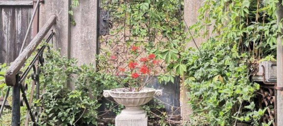 2 غرف نوم فيلا في Gars am Kamp, Austria رقم 210962 2