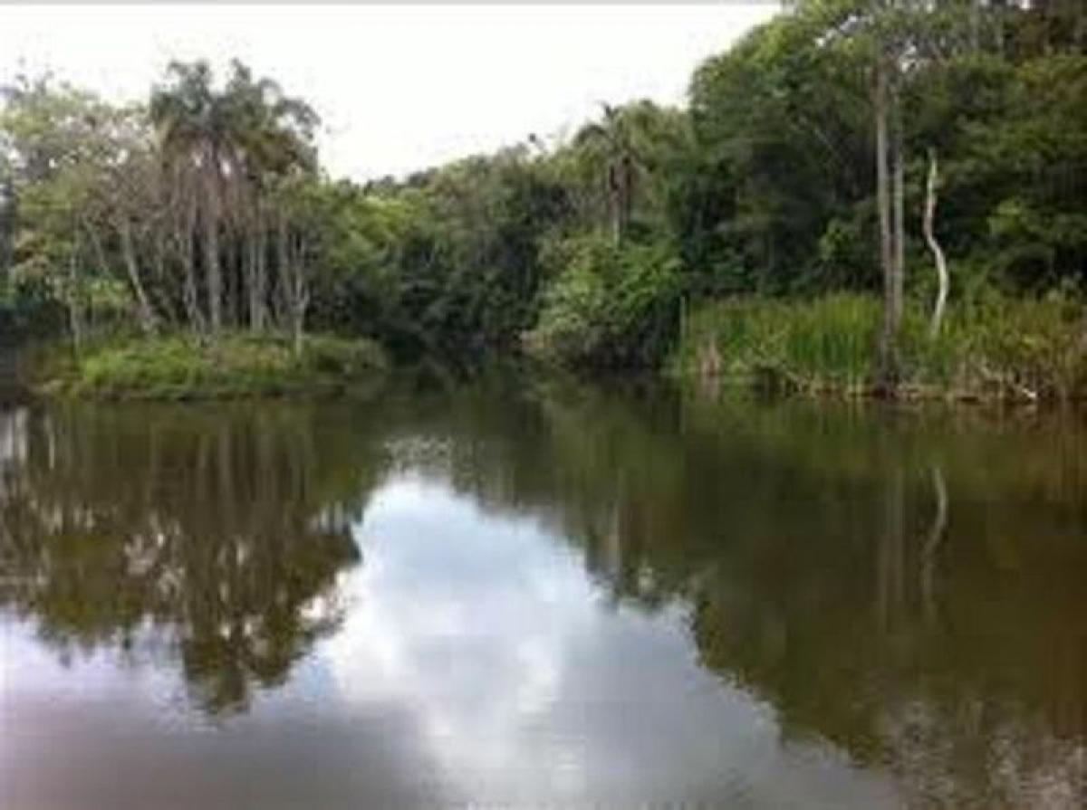 3 غرف نوم منزل في Sao Paulo, Brazil رقم 596733