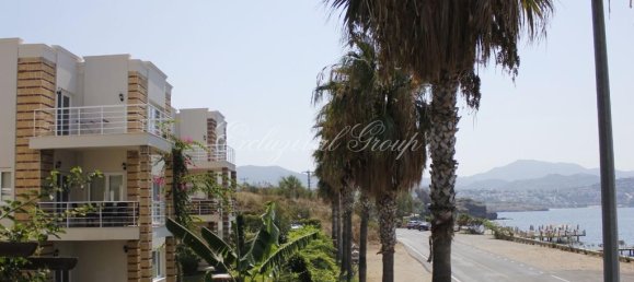 Villa 4+1 in Bodrum, Turkey, Nr. 28250 18