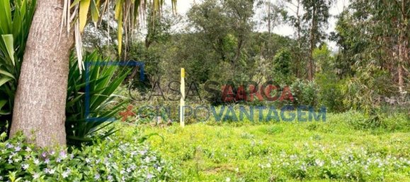 1 Schlafzimmer Haus in Sintra, Portugal, Nr. 347006 7