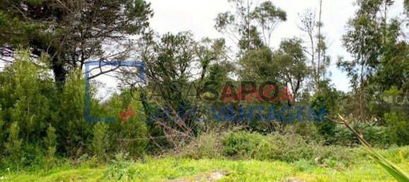 1 Schlafzimmer Haus in Sintra, Portugal, Nr. 347006 6