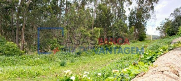 1 Schlafzimmer Haus in Sintra, Portugal, Nr. 347006 8