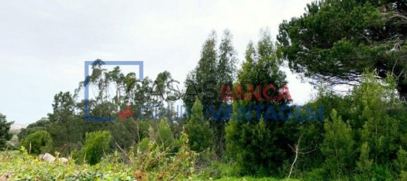 1 Schlafzimmer Haus in Sintra, Portugal, Nr. 347006 5