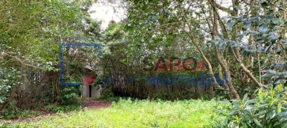 1 Schlafzimmer Haus in Sintra, Portugal, Nr. 347006 4