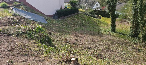 Land in Main-Kinzig, Germany No. 233612 3