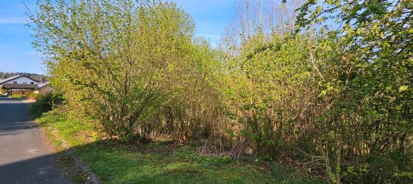 Land in Main-Kinzig, Germany No. 233612 5