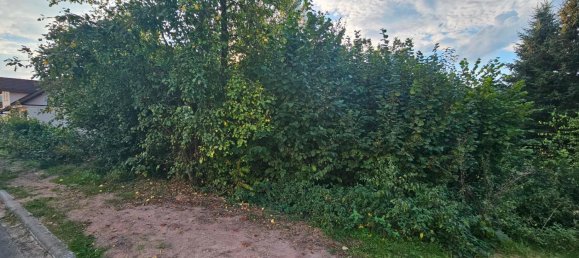 Land in Main-Kinzig, Germany No. 233612 6