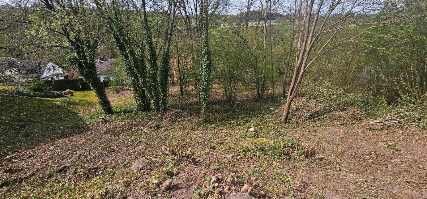  Land in Main-Kinzig, Germany No. 233612