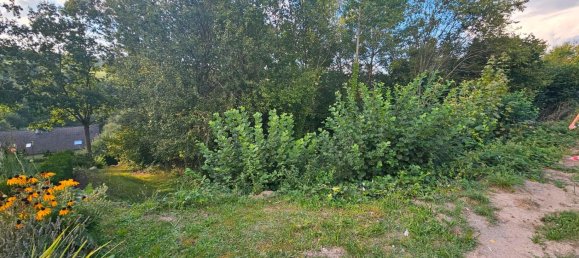 Land in Main-Kinzig, Germany No. 233612 7