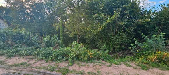 Land in Main-Kinzig, Germany No. 233612 8