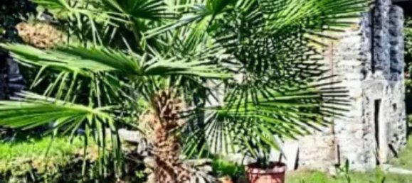 Casa de 6 divisões em Stresa, Italy N.º 68288 43