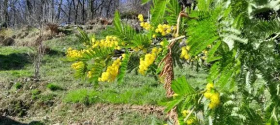 Casa de 6 divisões em Stresa, Italy N.º 68288 50