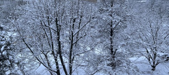 1 bedroom Penthouse in Moabit, Germany No. 238542 8