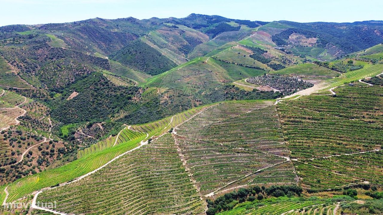Terreno em São João da Pesqueira, Portugal 73100 m² N.º 236600