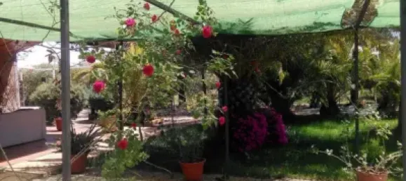 4 غرف نوم منزل في Badajoz, Spain رقم 121750 35