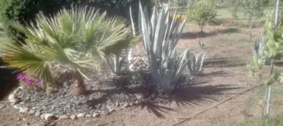 4 غرف نوم منزل في Badajoz, Spain رقم 121750 32