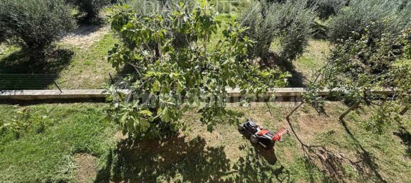 3 chambres Maison à Castiglione del Lago, Italy No. 235258 11