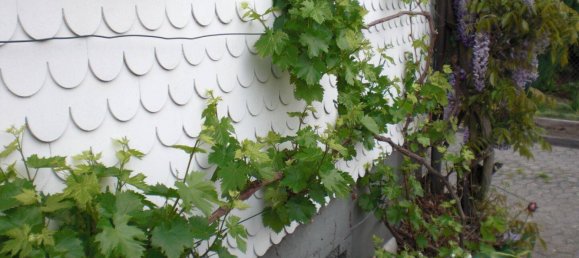 3 rooms House in Rastatt, Germany No. 317158 2