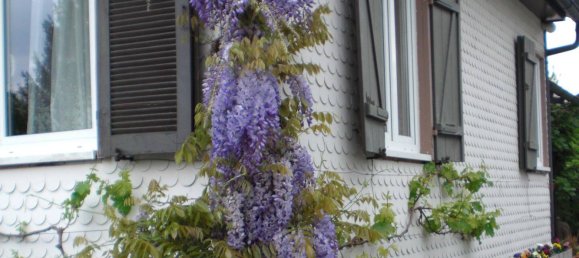 3 rooms House in Rastatt, Germany No. 317158 5