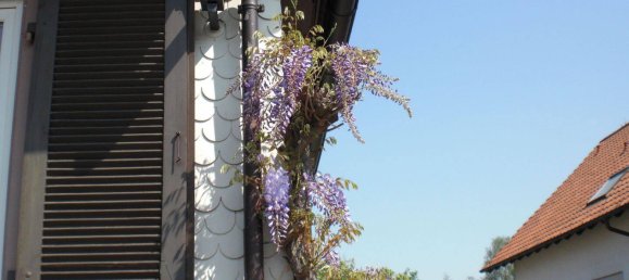 3 rooms House in Rastatt, Germany No. 317158 10