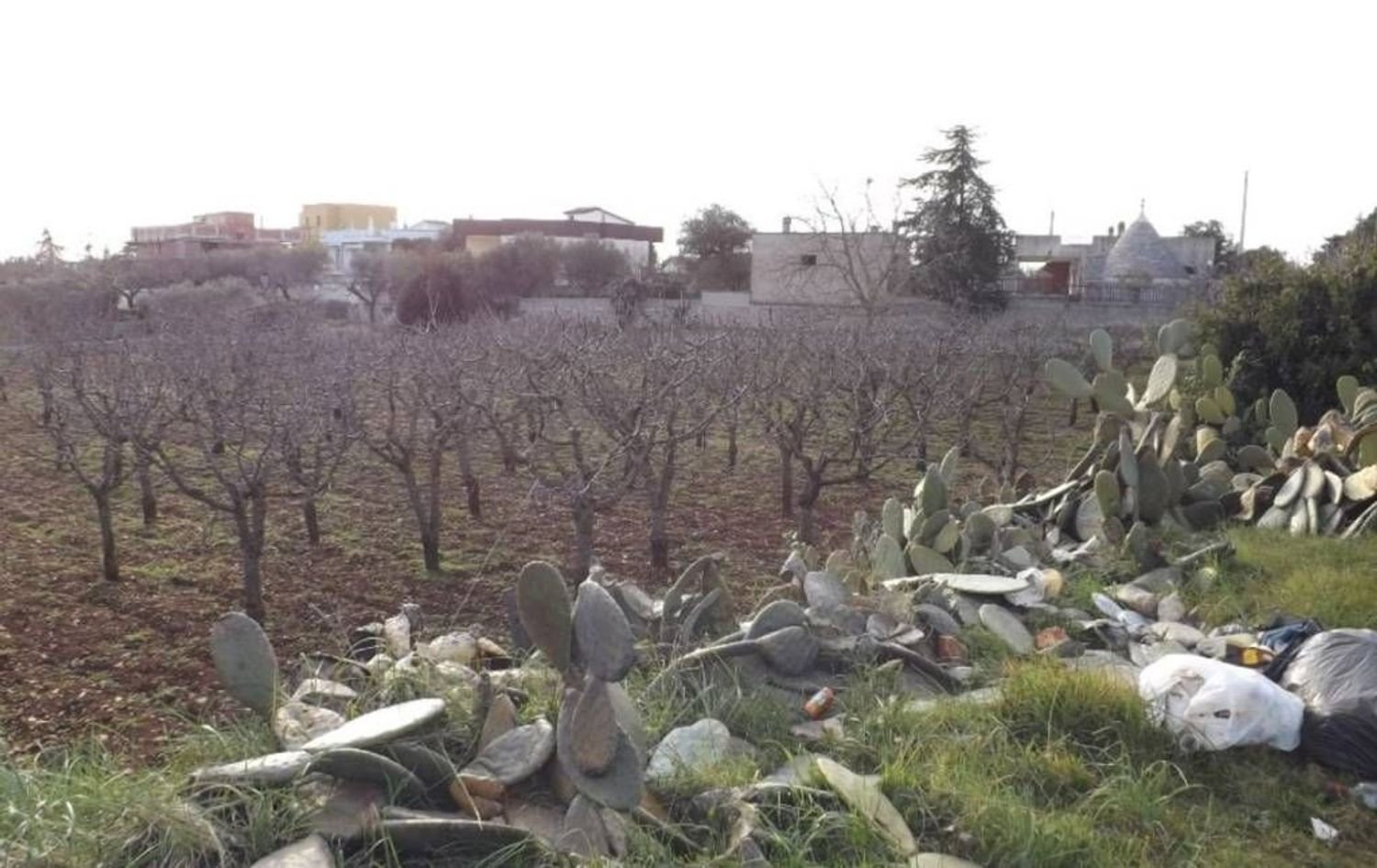 Terreno em Putignano, Italy 3154 m² N.º 355794