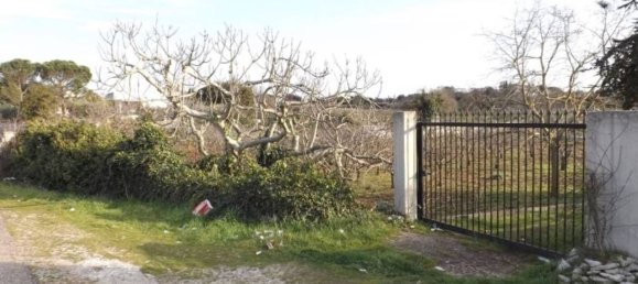 Terreno em Putignano, Italy 3154 m² N.º 355794 4